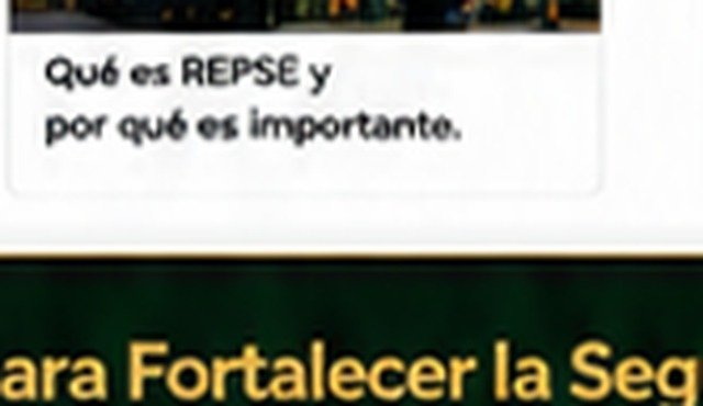 REPSE
