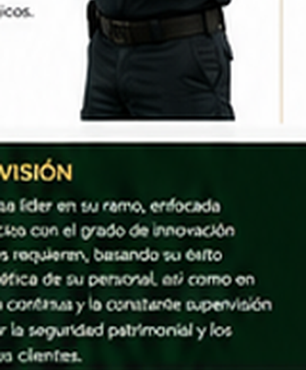 Guardia VIPCE